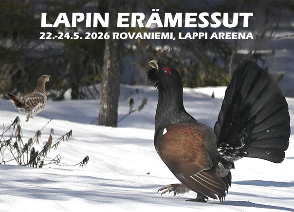 Lapin Erämessut